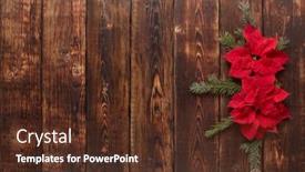  Presentation with new year card - PPT theme having red-poinsettia-flowers-euphorbia-pulcherrima background and a tawny brown colored foreground