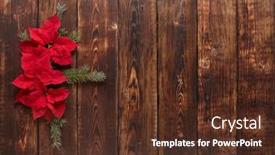 Presentation with new year card - Audience pleasing slide set consisting of red-poinsettia-flowers-euphorbia-pulcherrima backdrop and a tawny brown colored foreground