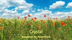  Presentation with poppies - Amazing presentation theme having red poppies in green field under sky with clouds soft focus on field backdrop and a tawny brown colored foreground