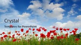  Presentation with red gold green field - PPT theme having red poppies on field sky background and a light blue colored foreground