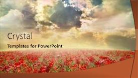  Presentation with poppies - Slides featuring red poppies on green field sky and clouds background and a coral colored foreground