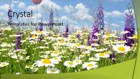  Presentation with poppy - Slide deck with red poppy and wild flowers background and a light blue colored foreground