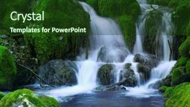  Presentation with wild flower in field of daisies - Slides having red poppy and wild flowers background and a tawny brown colored foreground