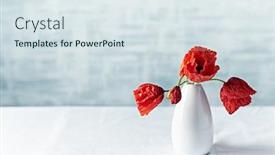 Presentation with flowers vase - Presentation theme enhanced with red-poppy-flowers-in-vase background and a sky blue colored foreground