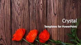  Presentation with wood - Beautiful PPT theme featuring red poppy on wood background backdrop and a tawny brown colored foreground