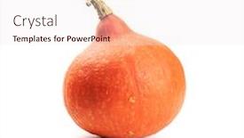  Presentation with food red - Presentation theme with red-pumpkin-on-white-background background and a sky blue colored foreground