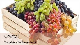  Presentation with colorful - Colorful PPT layouts enhanced with red purple - colorful mixed grapes backdrop and a  colored foreground