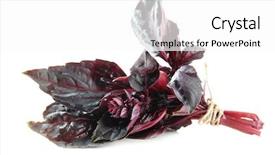  Presentation with fresh water splash green apple isolated white - Presentation featuring solar - sunset on the lake background and a dark gray colored foreground