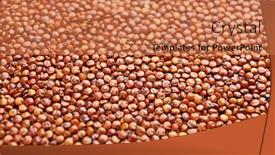  Presentation with quinoa - 