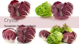  Presentation with white green - Slide set featuring red-radicchio-lettuce-and-green background and a coral colored foreground