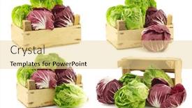  Presentation with red yellow green blue jigsaw - Presentation design enhanced with red-radicchio-lettuce-and-green background and a blonde colored foreground