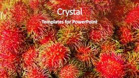  Presentation with rambutan - Beautiful slide deck featuring red rambutan backdrop and a crimson colored foreground