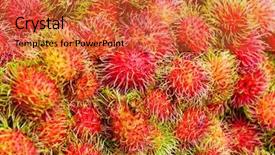  Presentation with rambutan - Cool new slide deck with red rambutan backdrop and a red colored foreground