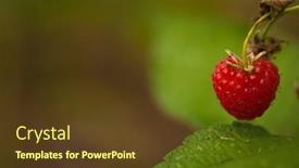  Presentation with green leaves - Slide set with red-raspberries-and-green-leaves background and a tawny brown colored foreground