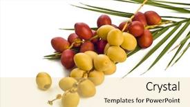 Presentation with date palm - Theme with red raw dates with palm background and a yellow colored foreground