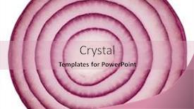  Presentation with red onion - Audience pleasing theme consisting of red-red-onion-slice-isolated backdrop and a coral colored foreground