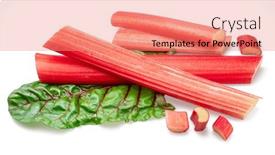  Presentation with red - Presentation theme consisting of red-rhubarb-stems-cuts-over background and a coral colored foreground