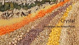  Presentation with rice grains - Theme enhanced with red rice - various seeds and grains close background and a coral colored foreground