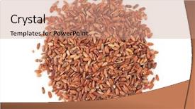 Presentation with rice - Amazing theme having red rice on white background backdrop and a coral colored foreground