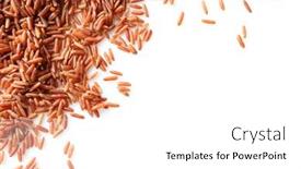  Presentation with rice - Theme having red-rice-on-white-background background and a white colored foreground
