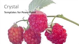  Presentation with green leaf - Slide set with red-ripe-raspberry-with-green background and a white colored foreground
