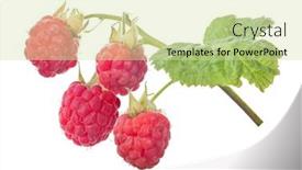  Presentation with green leaf - Amazing theme having red-ripe-raspberry-with-green backdrop and a soft green colored foreground