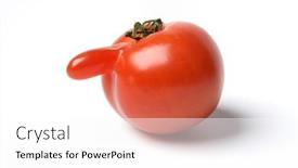  Presentation with nose - PPT layouts enhanced with red-ripe-tomato background and a white colored foreground