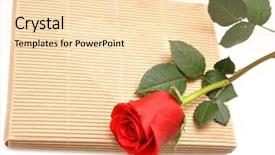  Presentation with white rose - PPT layouts featuring red rose and gift box background and a lemonade colored foreground