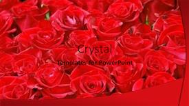  Presentation with red floral - Audience pleasing PPT layouts consisting of red rose floral background backdrop and a crimson colored foreground