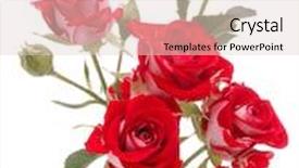  Presentation with rose flower - Presentation design consisting of red rose flower bouquet isolated on white background cutout background and a lemonade colored foreground