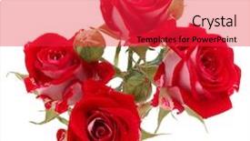  Presentation with rose flower - Amazing slide set having red rose flower bouquet isolated on white background cutout backdrop and a red colored foreground