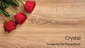  Presentation with rose wood - Colorful slide set enhanced with red rose flower on wood backdrop and a  colored foreground