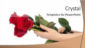  Presentation with white rose - Slide deck consisting of red rose isolated on white background and a white colored foreground