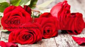  Presentation with wooden - Slide set with red rose on a wooden background and a crimson colored foreground