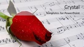  Presentation with rose yellow - PPT layouts consisting of red rose on notesheet background and a light gray colored foreground