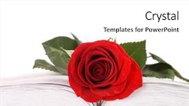  Presentation with book - Amazing slides having drugs are not the answer backdrop and a light blue colored foreground