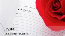  Presentation with valentines day - Presentation design having red rose on valentines day background and a  colored foreground