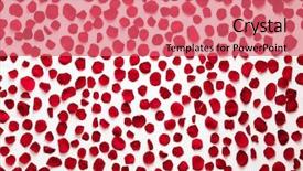  Presentation with wedding anniversary - Beautiful theme featuring red rose petals background pattern backdrop and a coral colored foreground