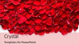  Presentation with wedding anniversary - Presentation consisting of red rose petals background pattern background and a red colored foreground