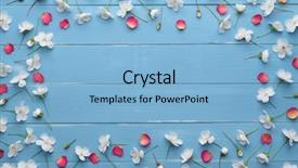  Presentation with red floral - Presentation design consisting of red rose petals floral background and a light blue colored foreground