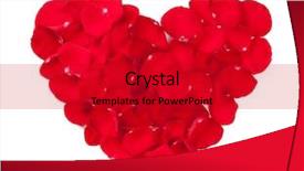  Presentation with white rose - Cool new presentation with red rose petals heart isolated backdrop and a crimson colored foreground