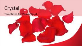  Presentation with red and white rose petals - Amazing slide deck having red rose petals in pile backdrop and a red colored foreground