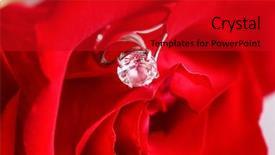  Presentation with engagement - Audience pleasing PPT layouts consisting of red rose with beautiful engagement backdrop and a crimson colored foreground
