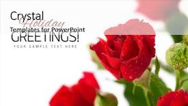  Presentation with green leaves - Colorful presentation theme enhanced with red rose with green leaves backdrop and a white colored foreground