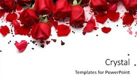  Presentation with red roses rose garden - PPT theme featuring red roses and heart shape background and a white colored foreground