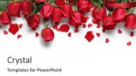  Presentation with shape heart - Amazing PPT layouts having red roses and heart shape backdrop and a white colored foreground