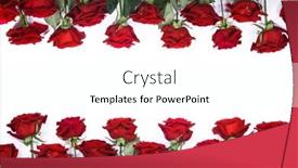  Presentation with frame border - Audience pleasing PPT theme consisting of red-roses-border-frame-isolated backdrop and a white colored foreground