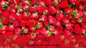  Presentation with roses - Amazing PPT theme having red-roses-for-sale backdrop and a crimson colored foreground