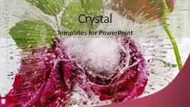  Presentation with ice frozen - Amazing slides having red roses frozen in ice backdrop and a  colored foreground