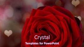  Presentation with roses - Presentation theme enhanced with red-roses-valentine-s-day background and a wine colored foreground